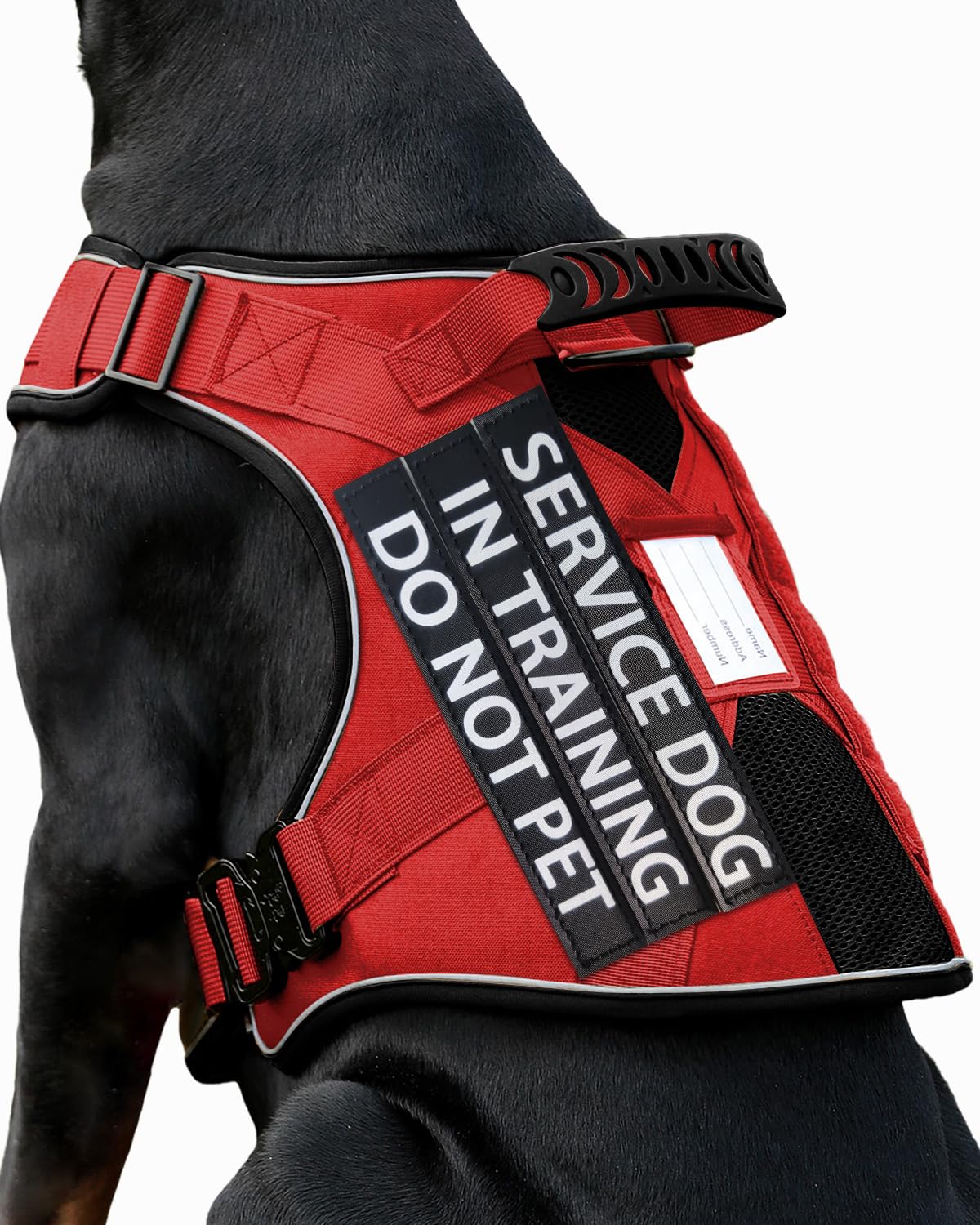 PawistaPal service dog vest for medium dogs, front view showing patches and adjustable fit.