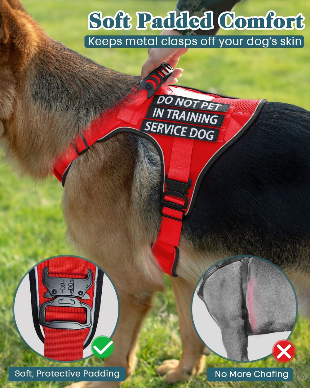 PawistaPal size guide image helps select the best fit for medium dogs.