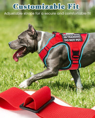 PawistaPal durable nylon fabric with reinforced stitching supports long-term training use.