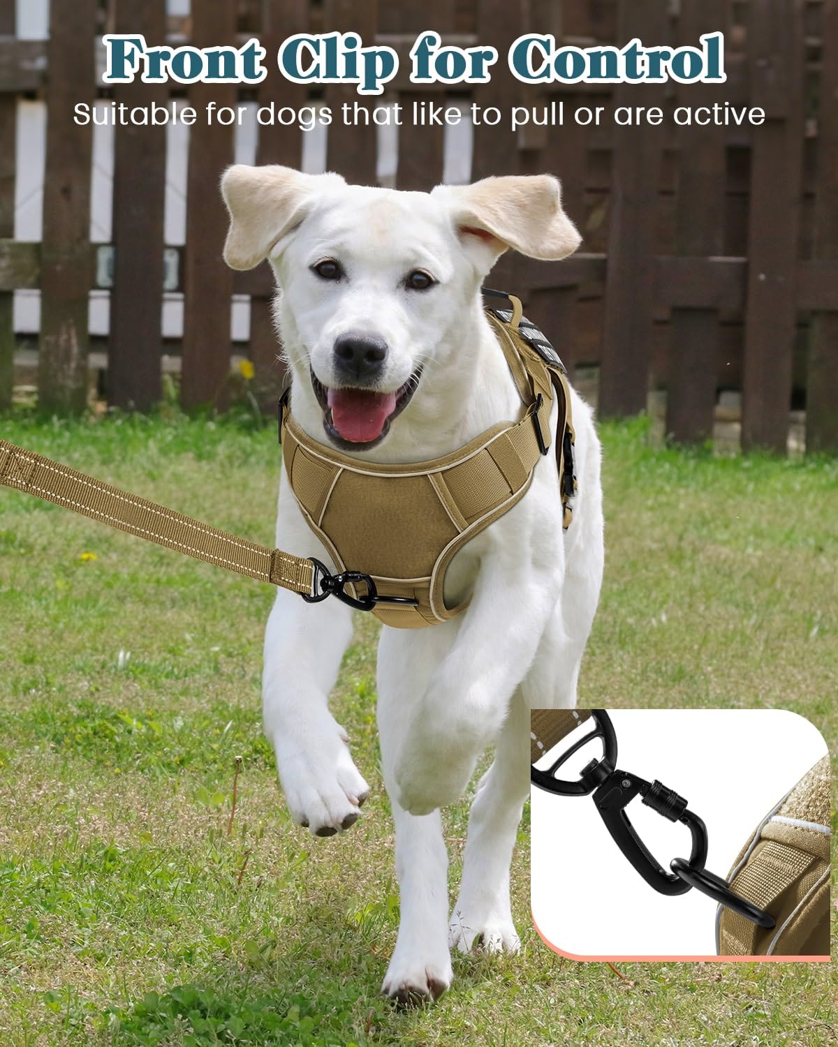 PawistaPal vest with reflective strips for night safety during evening walks.