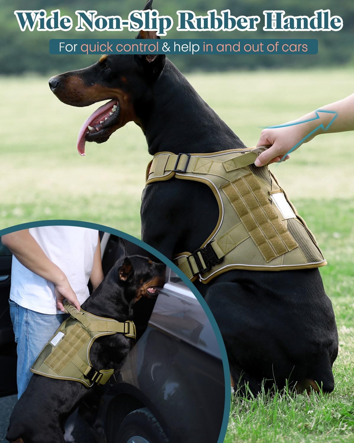 PawistaPal size guide image illustrating neck and chest measurements for right fit.