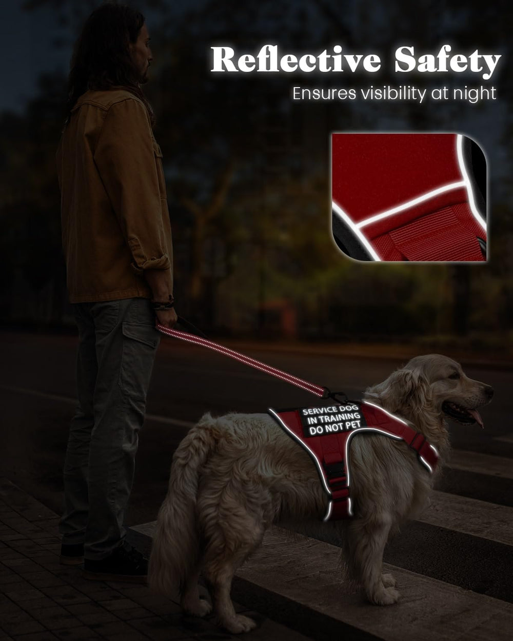PawistaPal training-walks scenario demonstrates comfortable, padded design during daily outings.