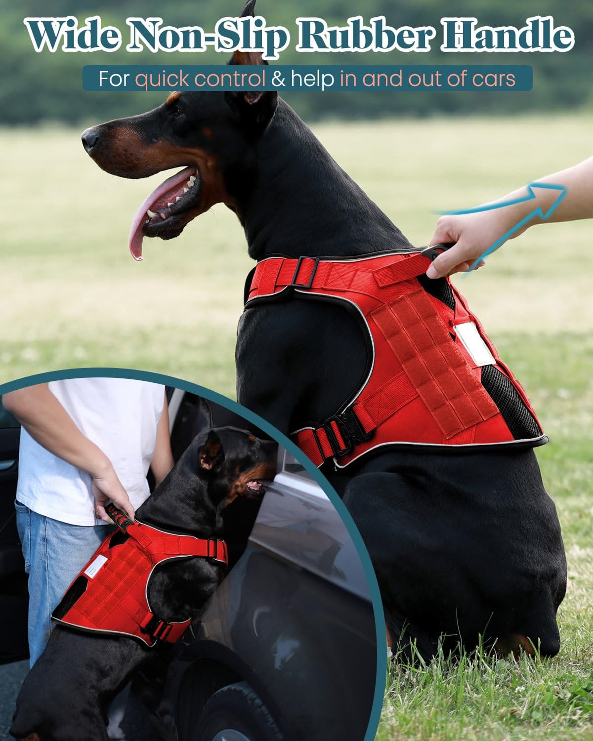 PawistaPal vest overall design suits crowded streets and dog-park adventures.