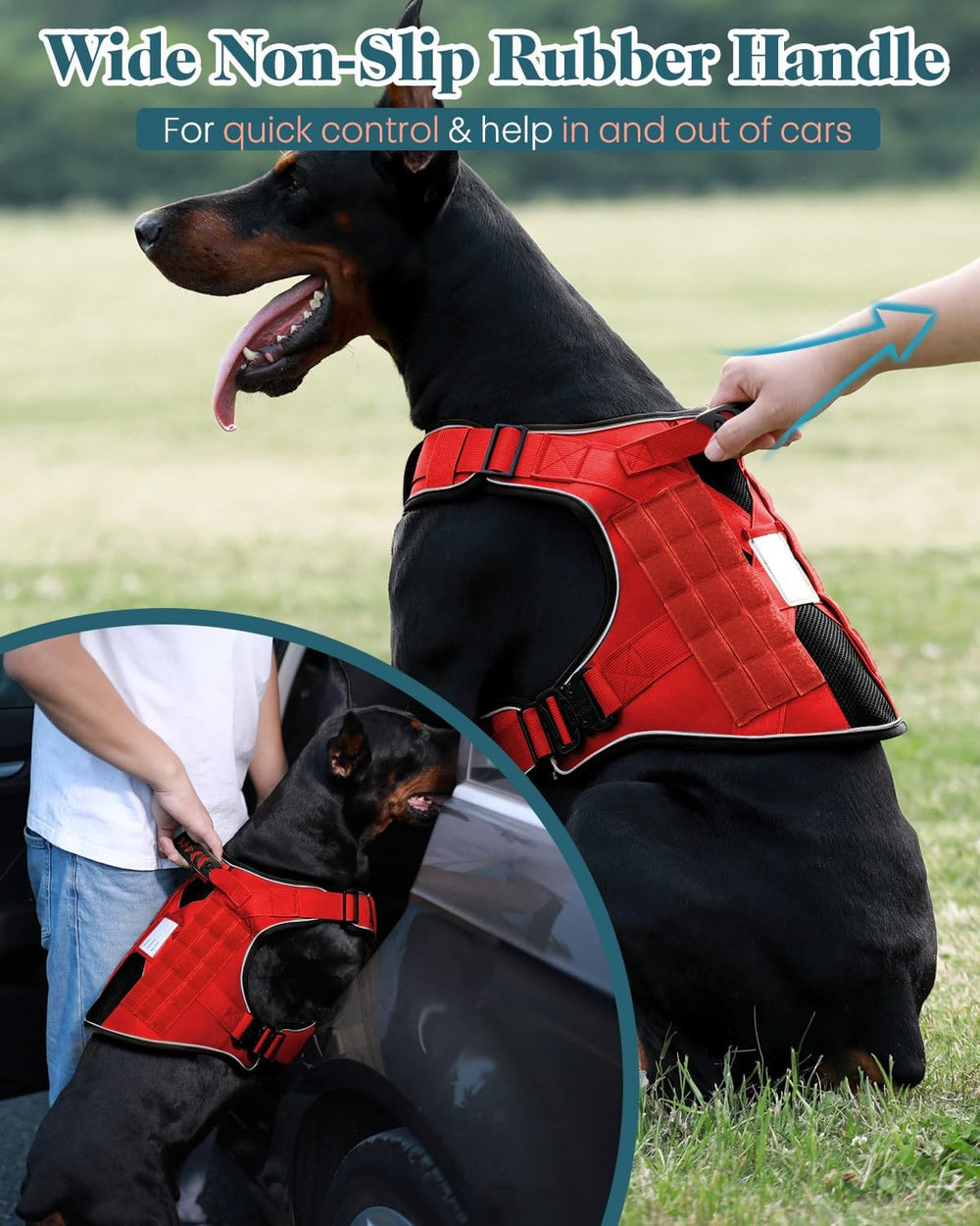 PawistaPal vest overall design suits crowded streets and dog-park adventures.