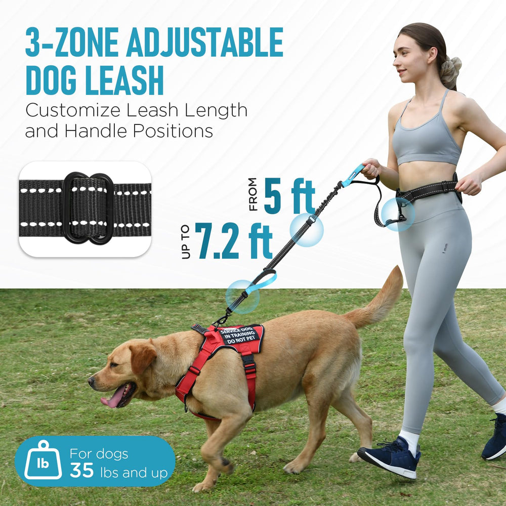 PawistaPal waist-bungee leash absorption cushions sudden pulls during runs.