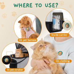 Pawith cat calming diffuser patch wall-application for easy placement.