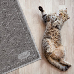 Pawkin cat litter mat 4x3 feet provides ample floor protection.