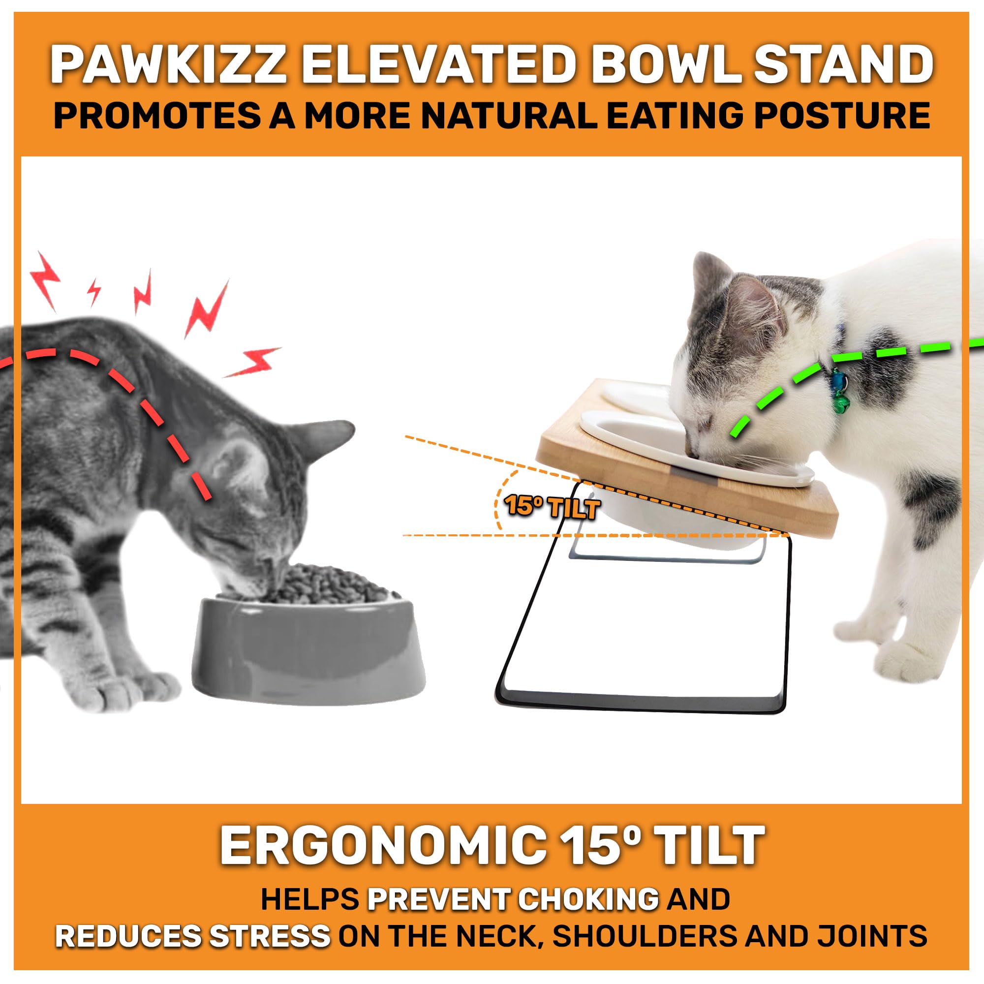 Pawkizz removable ceramic bowls keep mealtime clean and whisker-friendly for cats and small dogs