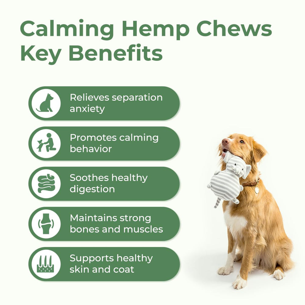 PawLabs Calming Hemp Chews dog-ready snack for calmer walks