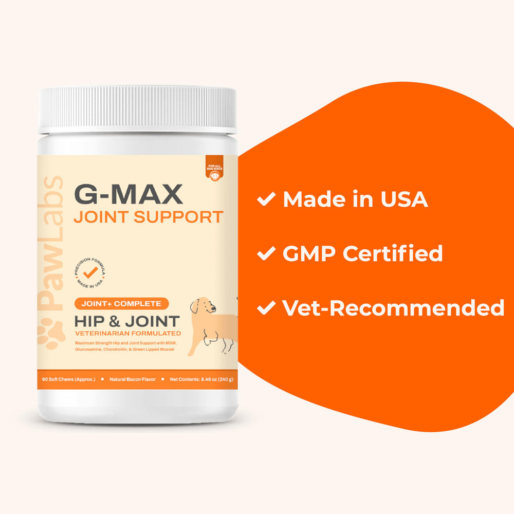 Pawlabs G-Max chew being fed demonstrates easy daily dose for joint support.
