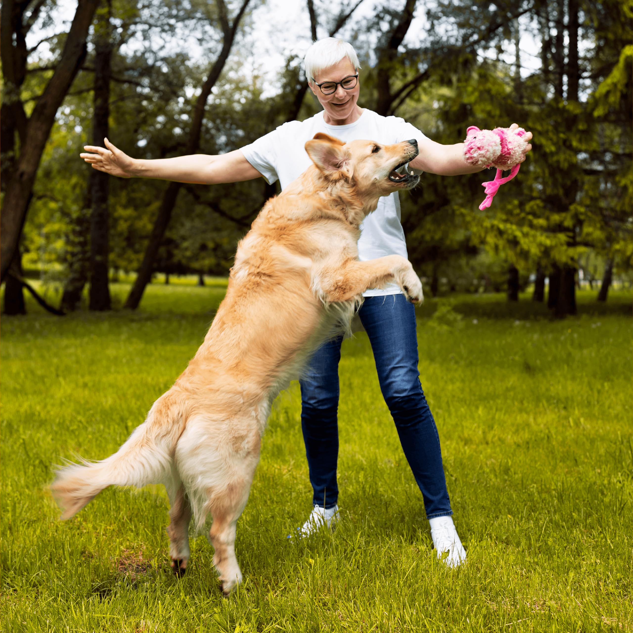 Pawlabs G-Max dog on walk after chew illustrates improved movement potential.
