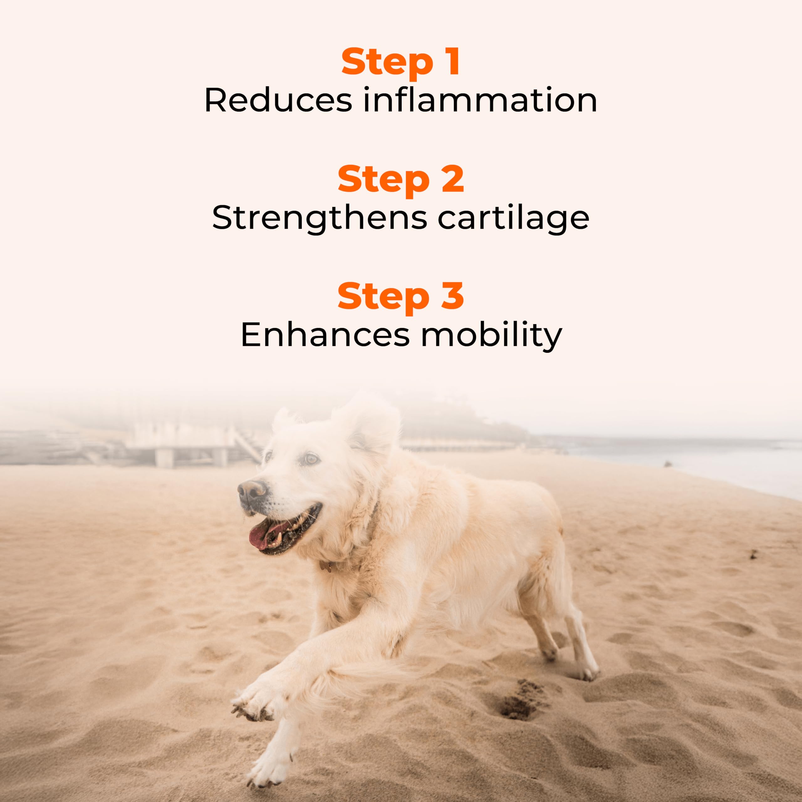 Pawlabs G-Max label highlights vitamin C and minerals supporting overall joint health.