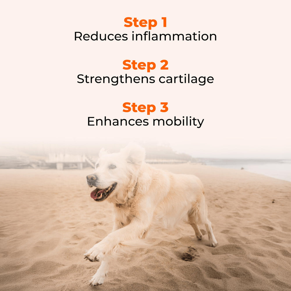 Pawlabs G-Max label highlights vitamin C and minerals supporting overall joint health.