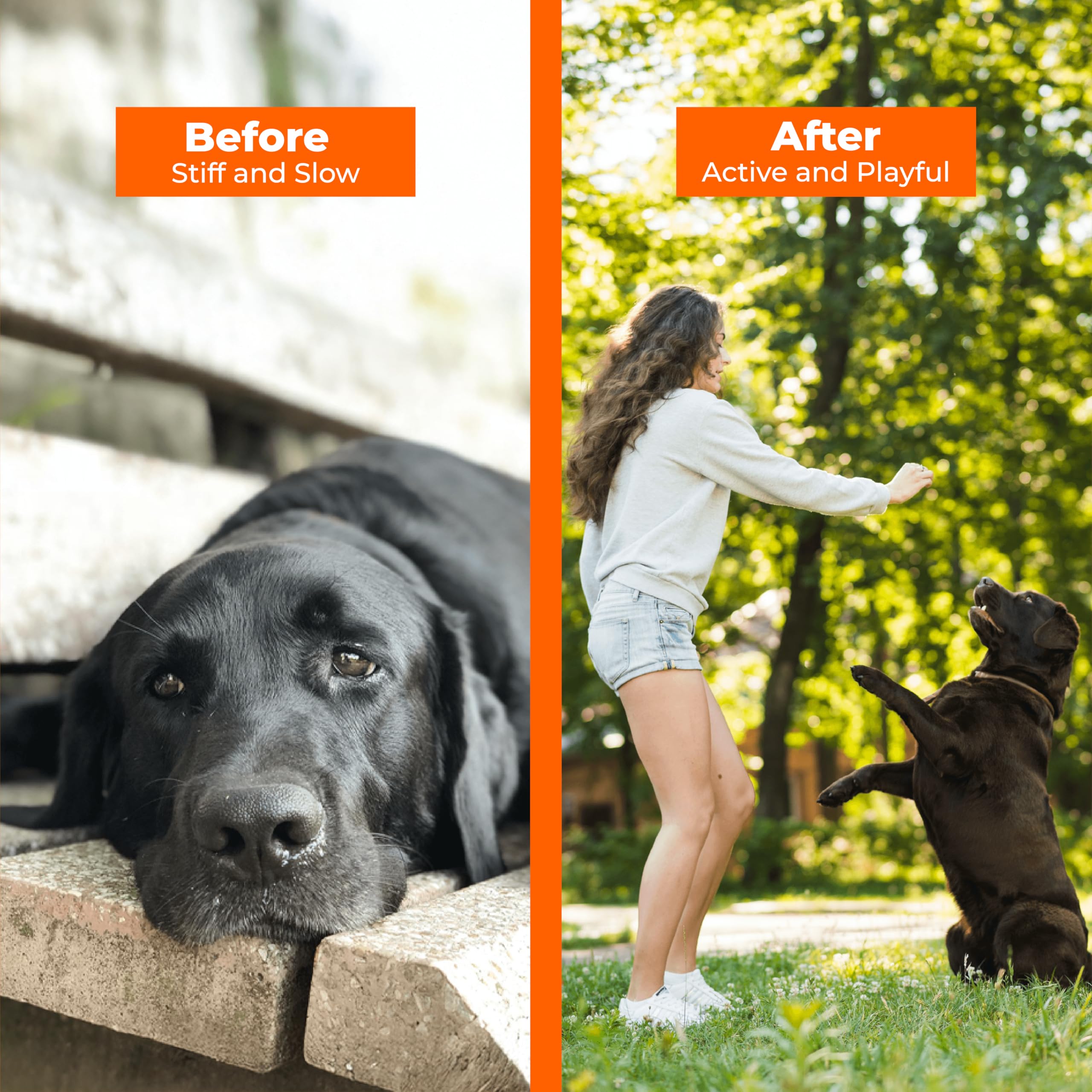 Pawlabs G-Max produced in a USA GMP/FDA facility ensures quality.