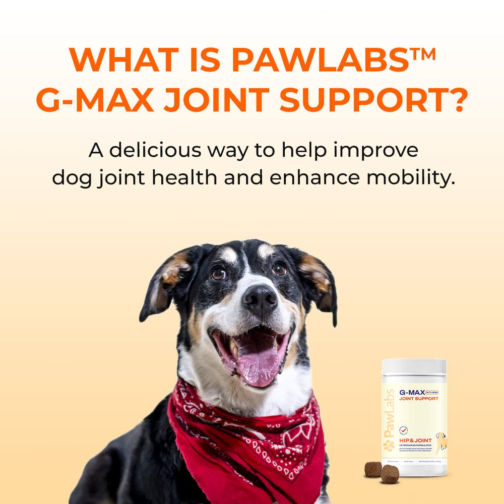Pawlabs G-Max label closeup image showing feeding guidelines and dosage notes