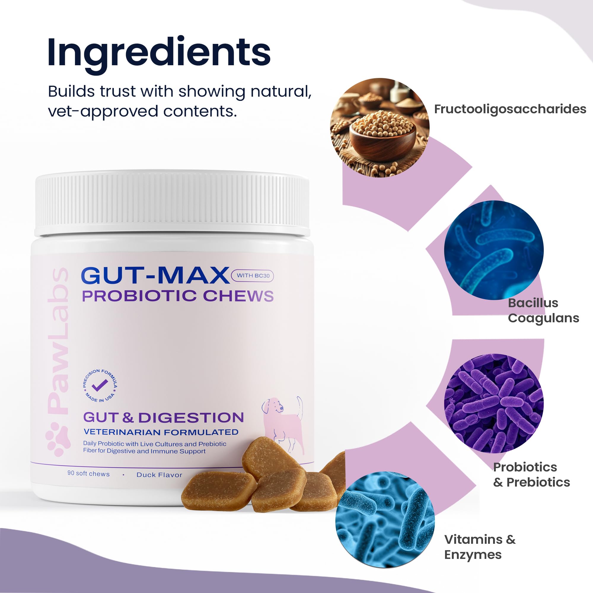 Pawlabs Gut Max BC30 Bacillus coagulans graphic highlights resilient probiotic for gut balance