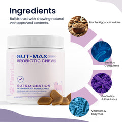 Pawlabs Gut Max BC30 Bacillus coagulans graphic highlights resilient probiotic for gut balance