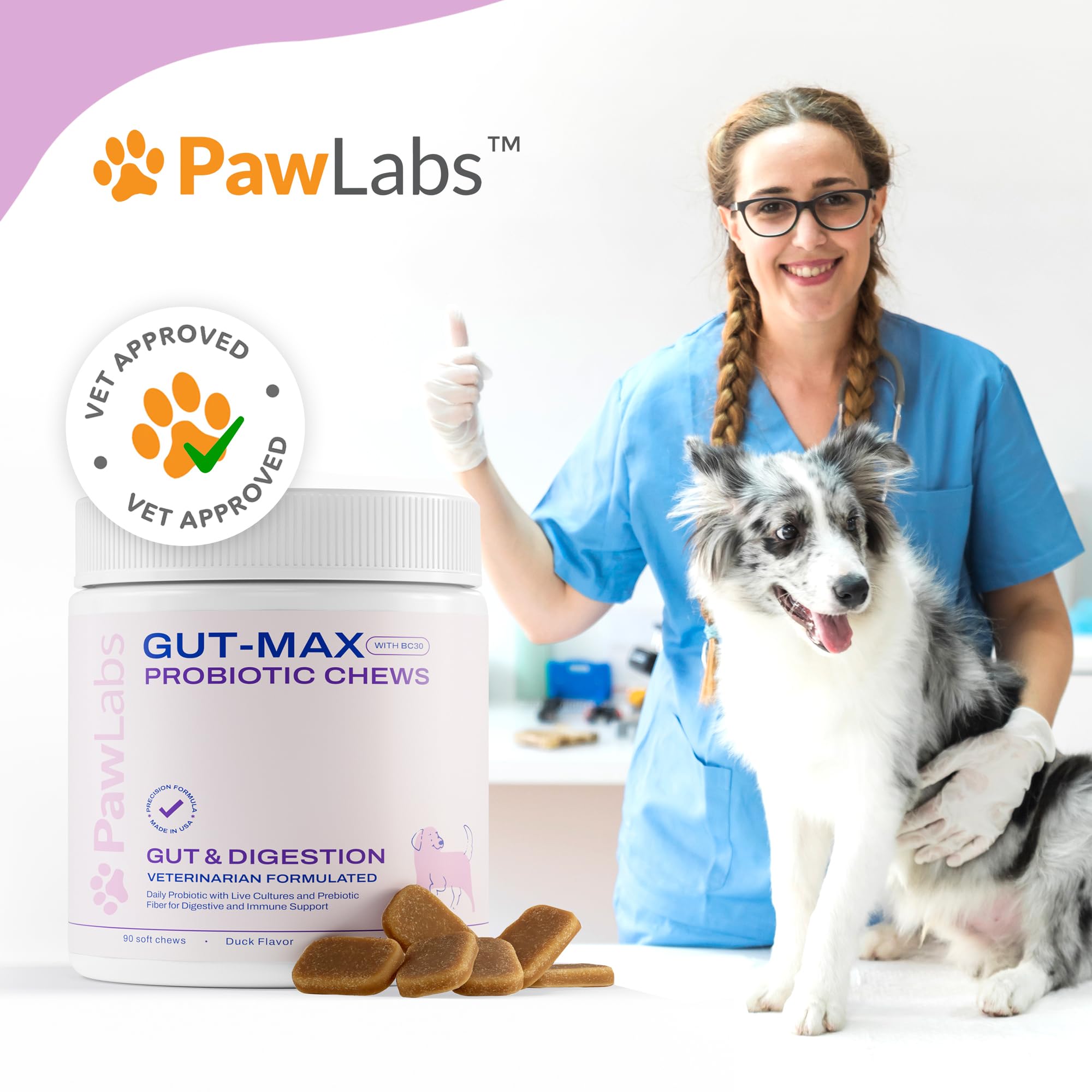 Pawlabs Gut Max closeup of textured chews highlighting quality and palatability