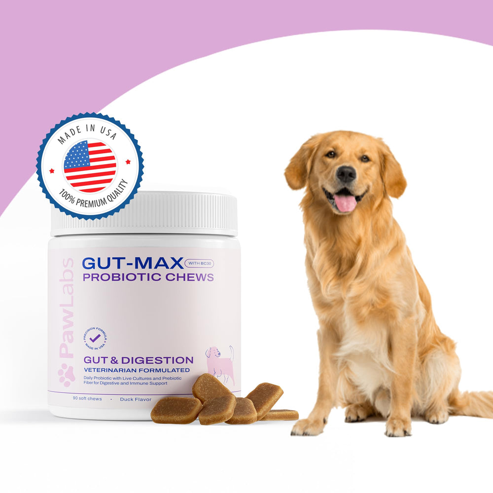 Pawlabs Gut Max soft chews with duck flavor appealing to dogs during daily administration