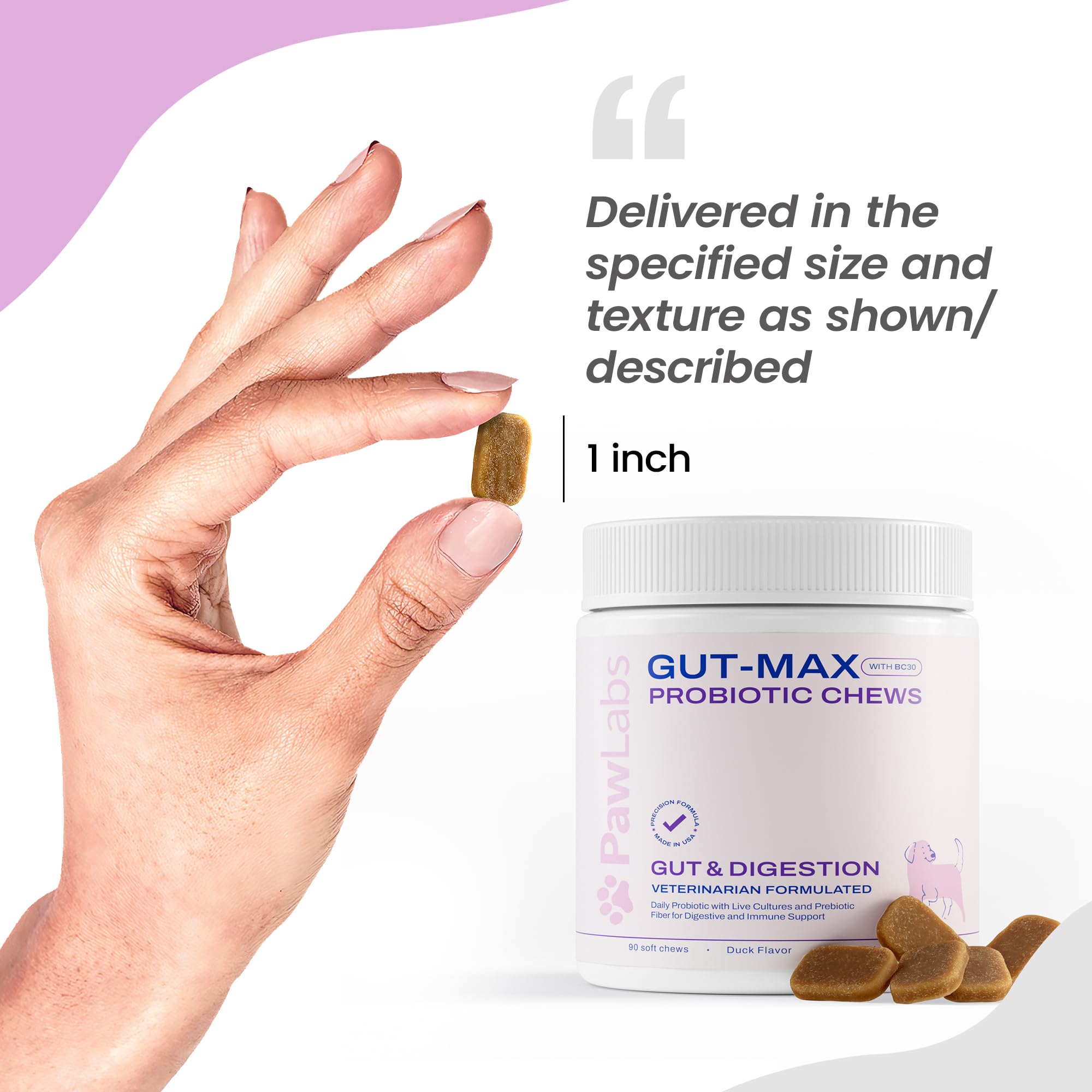 Pawlabs Gut Max vet-formulated label on bottle indicating precision digestive care