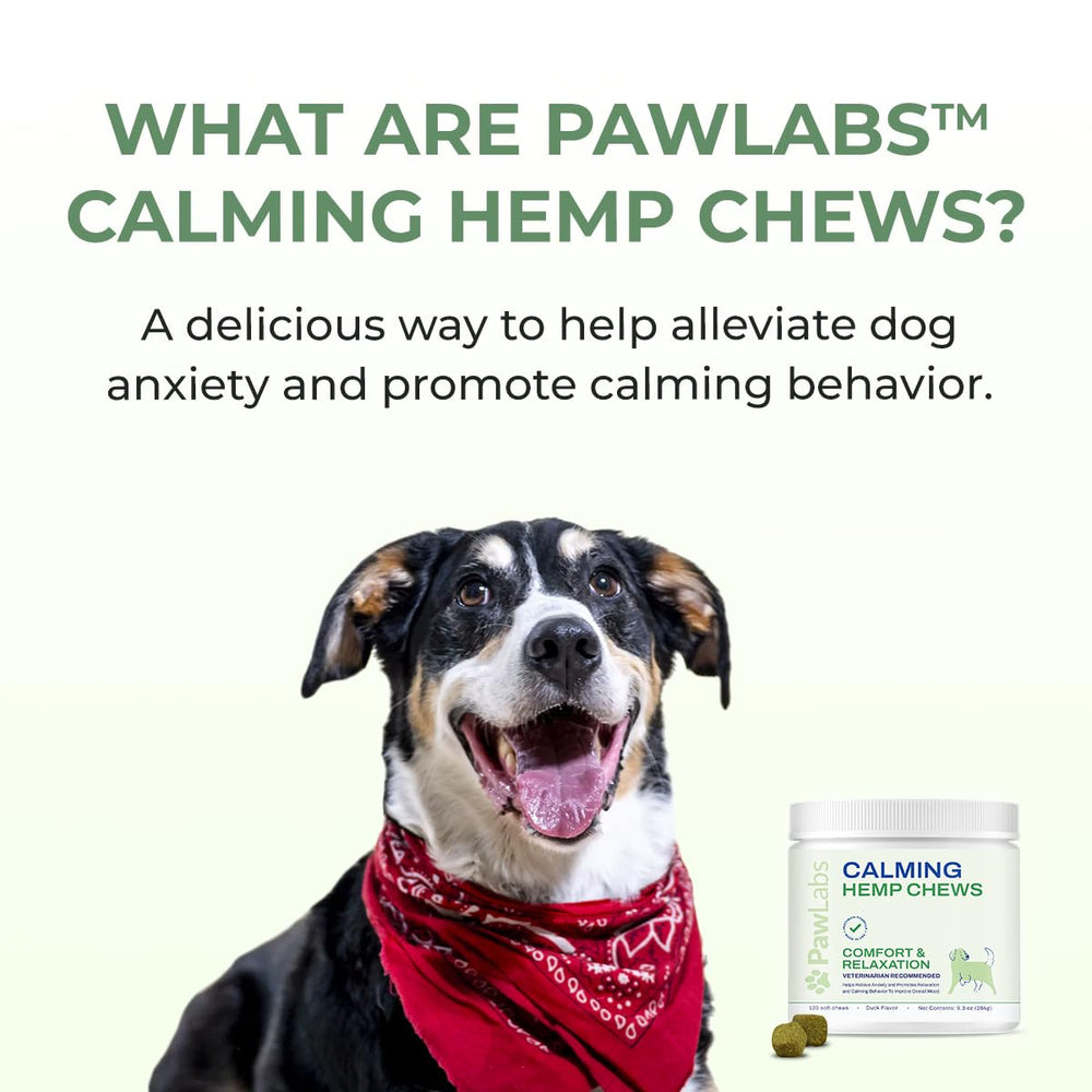PawLabs Organic hemp seed oil ingredient highlight for natural calming