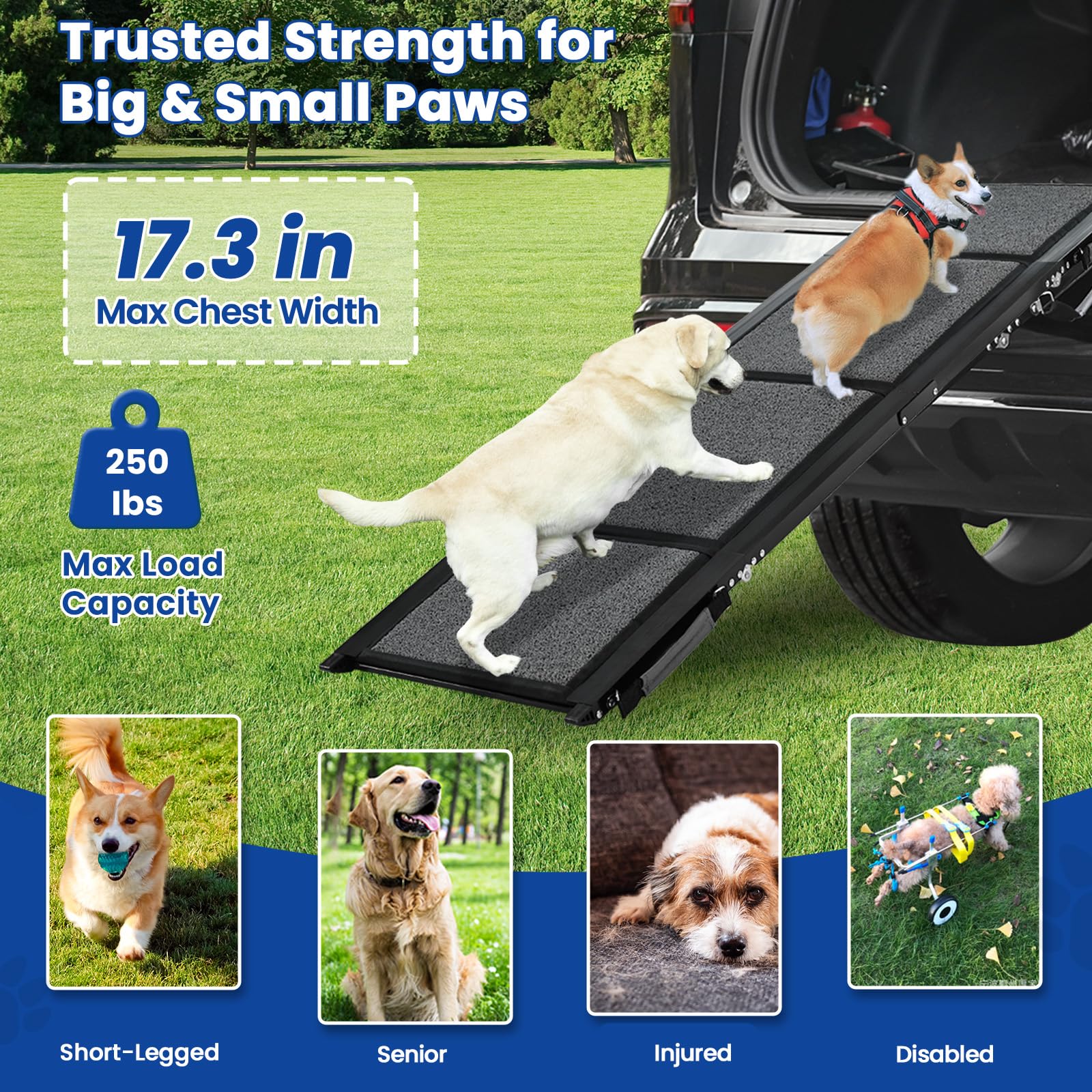 Pawlify dog ramp with anti-slip rug surface provides solid paw grip