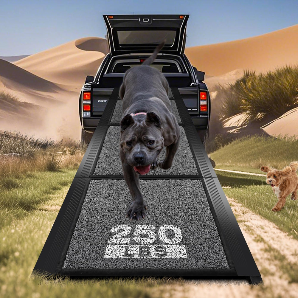 Pawlify dog ramp extended in car showing gentle incline for easy access