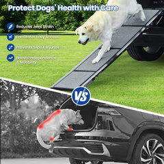 Pawlify dog ramp with side handles demonstrates effortless unfolding and carrying
