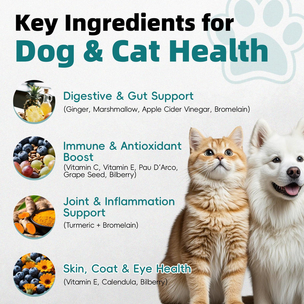 Pawlooza ear drop solution bottle shows easy administration.