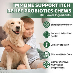 Pawlooza Probiotics for Dogs dog eating image suggests simple daily routine.