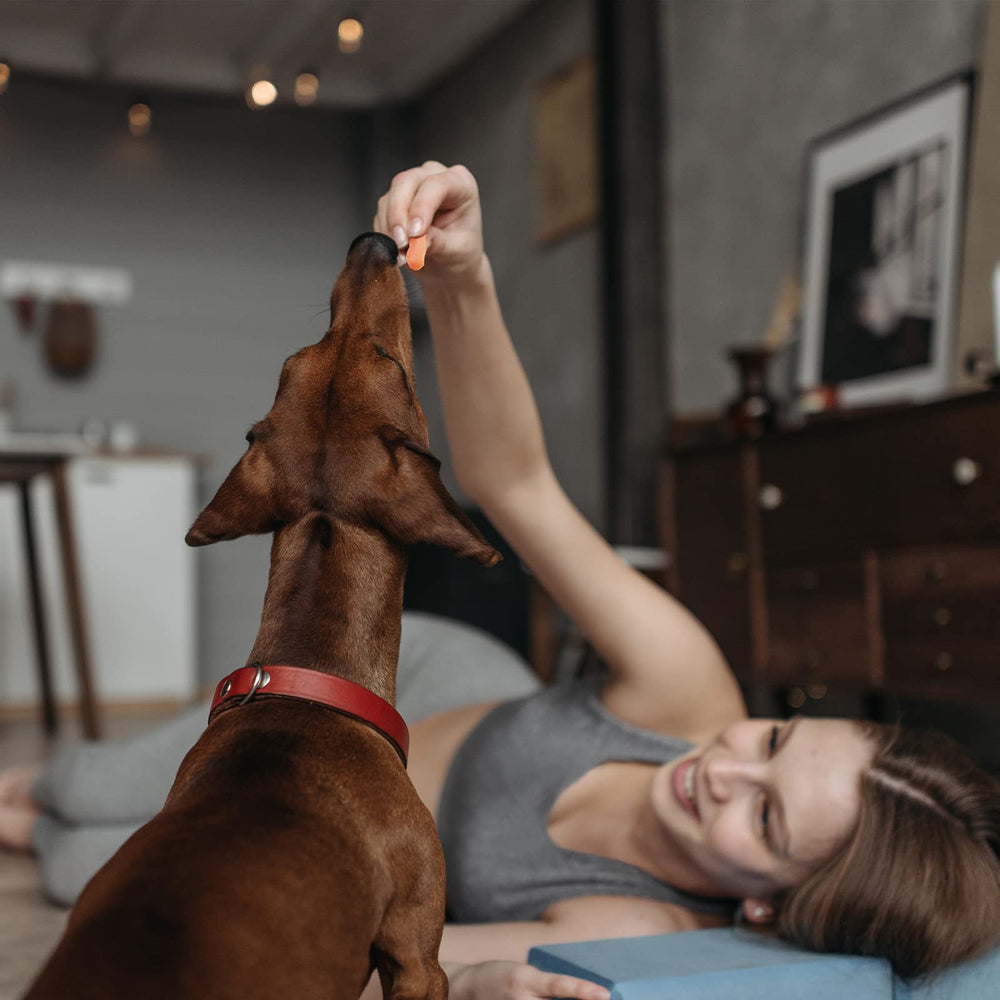 Pawmate grain-free snacks bowl image underscoring digestibility and allergy-friendly appeal