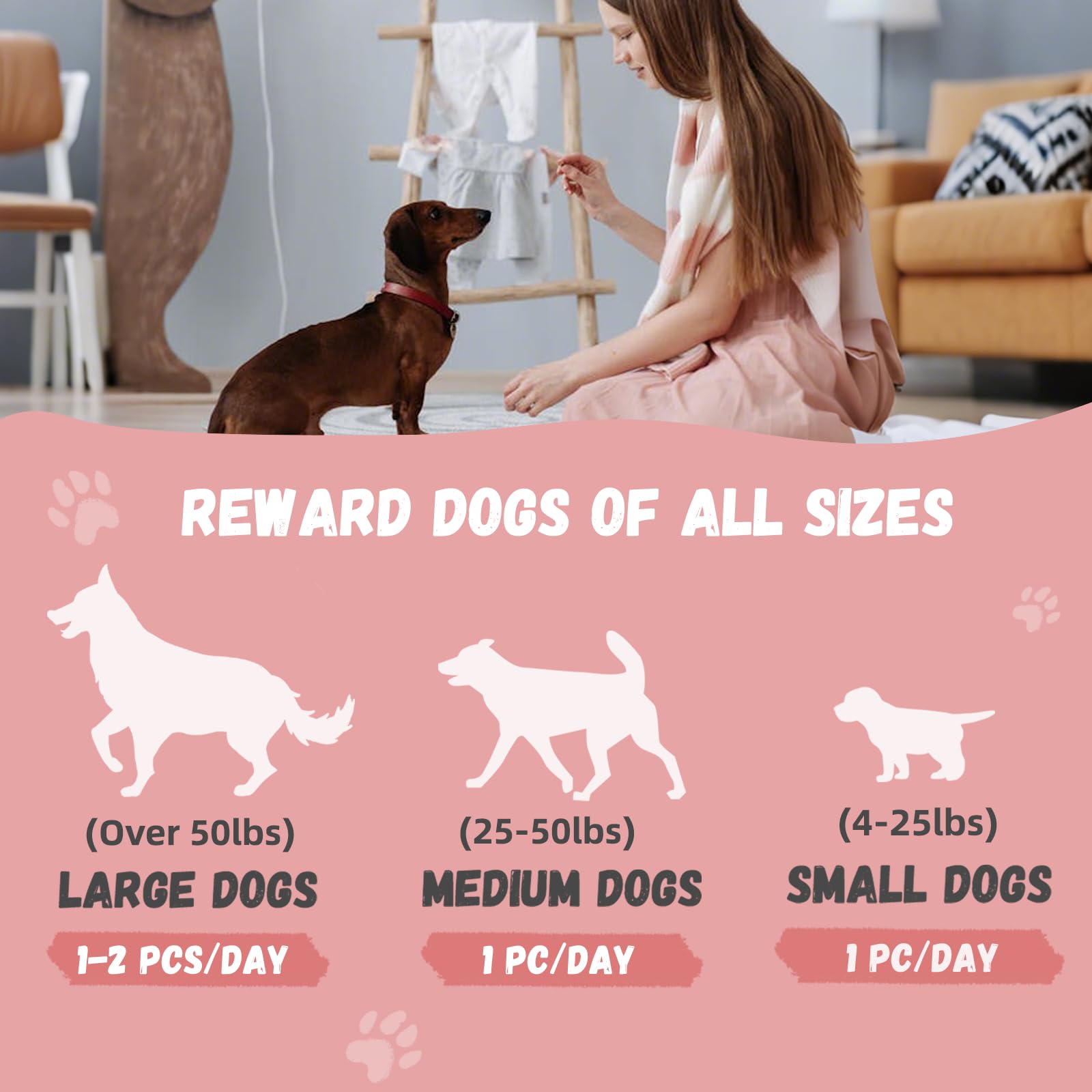 Pawmate kabobs tug-toy design encourages interactive play with your dog