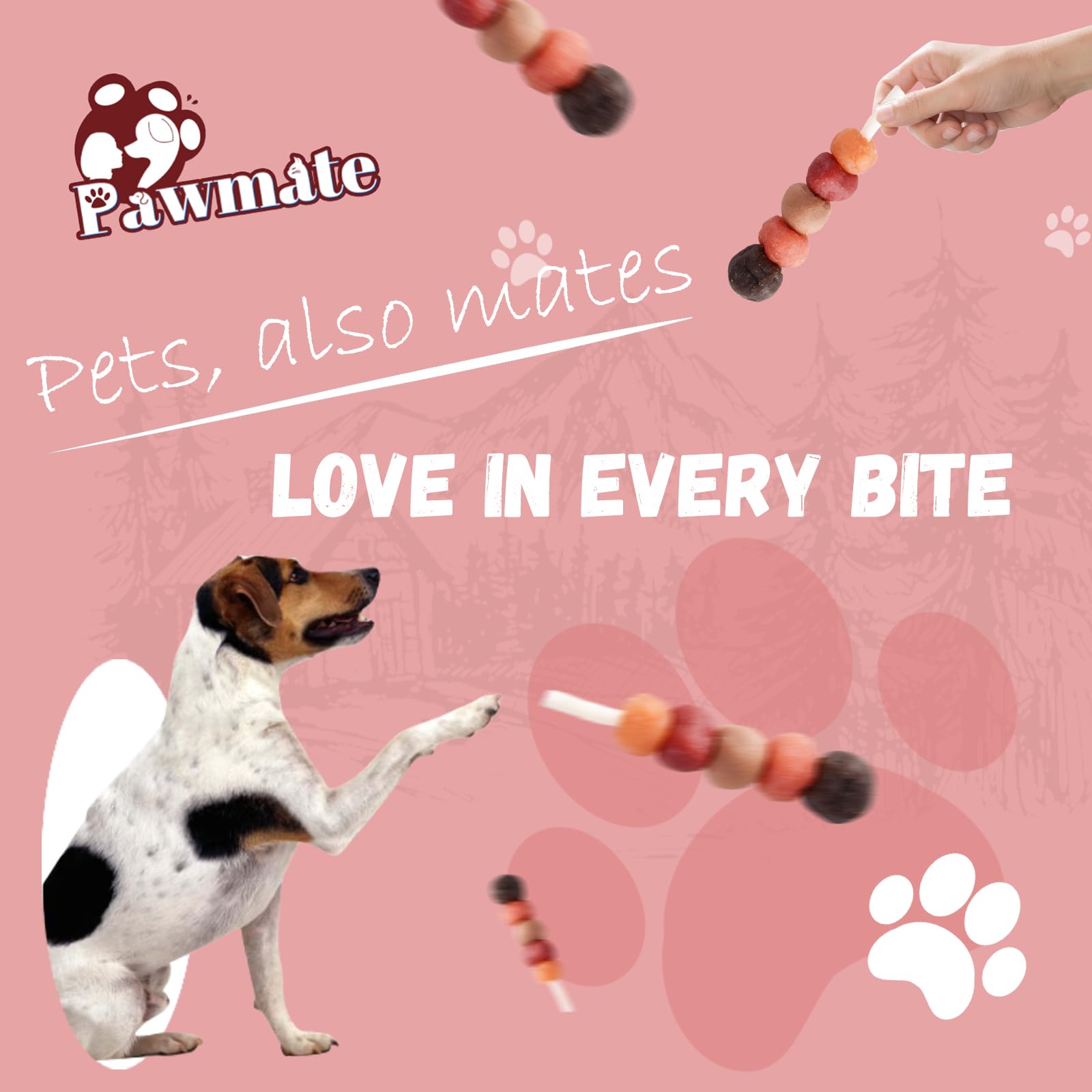Pawmate kabobs variety-assembly full-kit demonstrates multi-flavor options