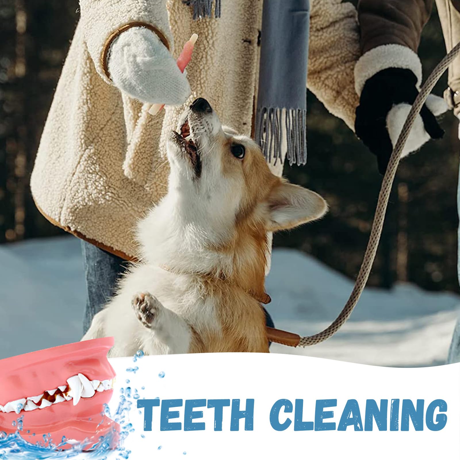 Pawmate treats variety pack provides tasty protein snacks.