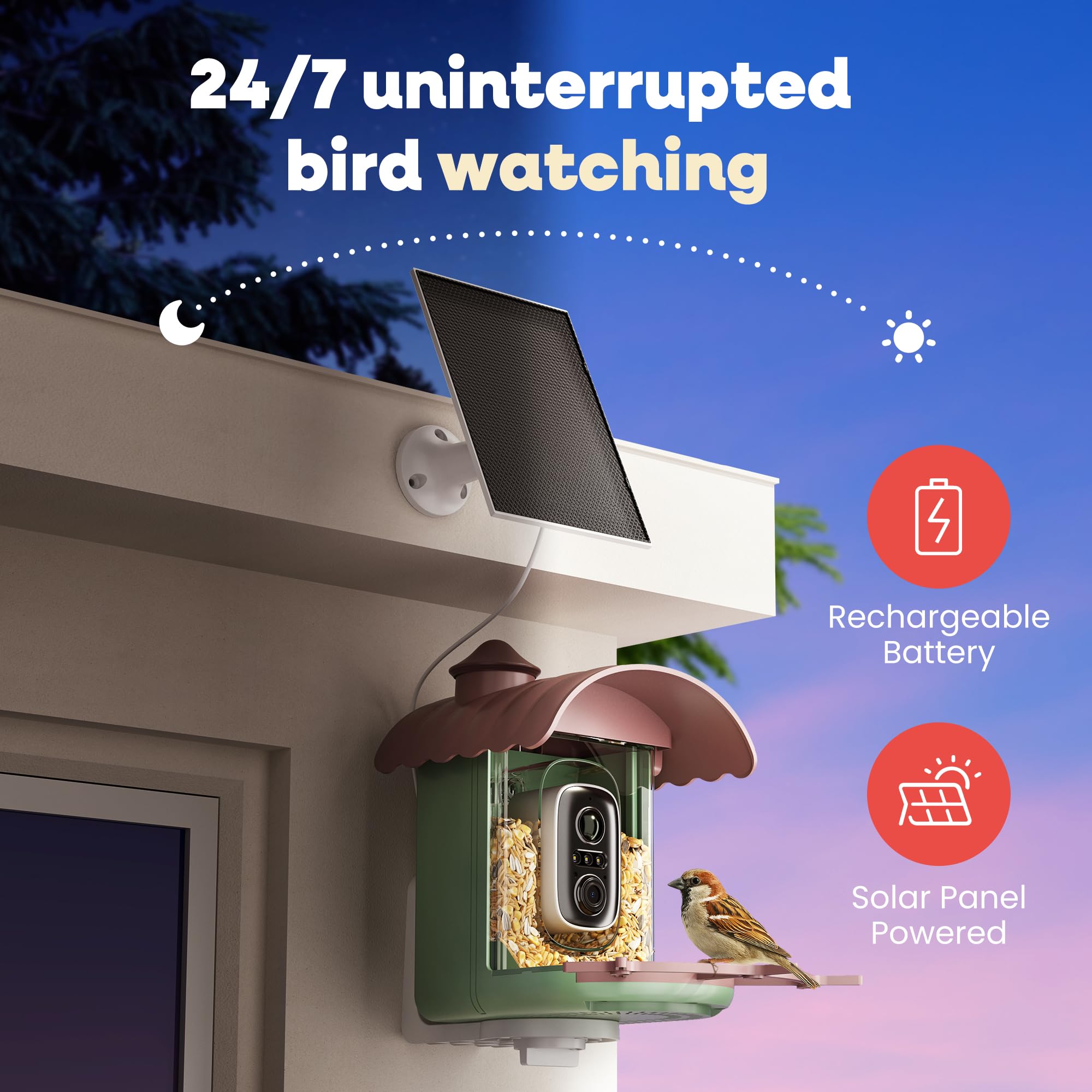 Pawmendous 2K QHD live video captures crisp, colorful bird footage