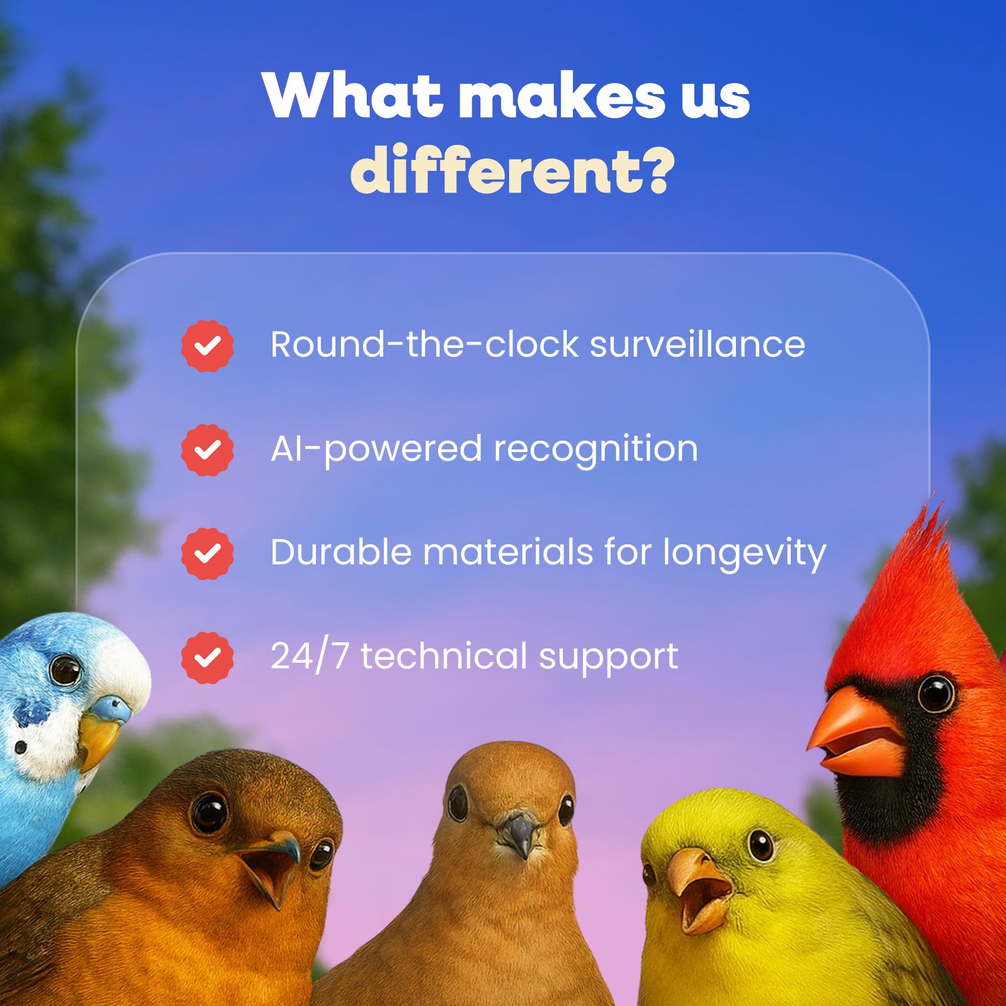 Pawmendous easy installation on tree or wall for flexible outdoor setup