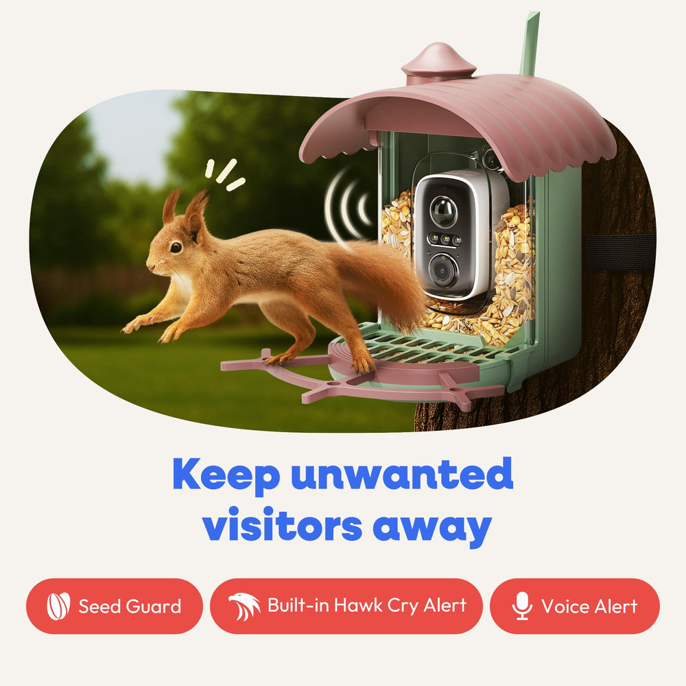 Pawmendous motion-activated recording starts automatically with bird activity