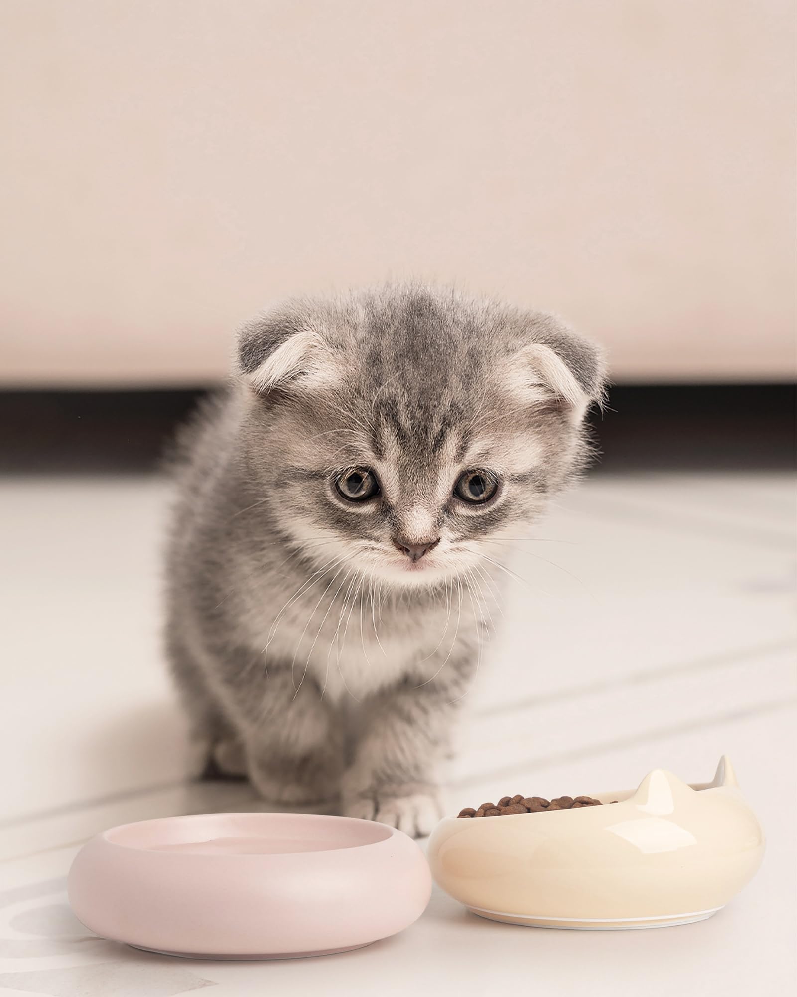 PawMeow decorative bowls provide a charming addition to home mealtime.