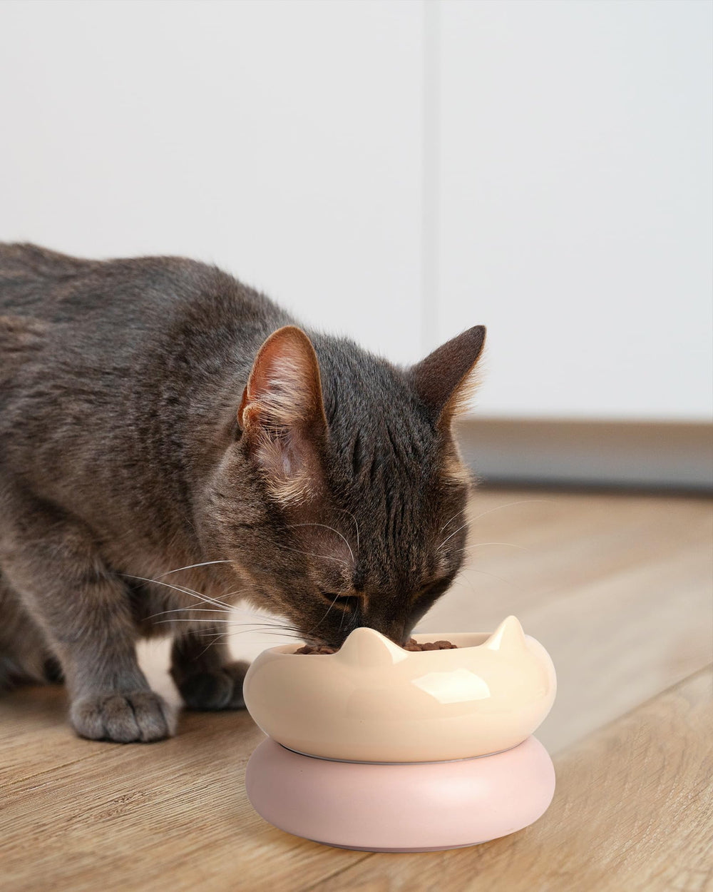 PawMeow gift-ready cat bowls add cute decor to mealtimes.