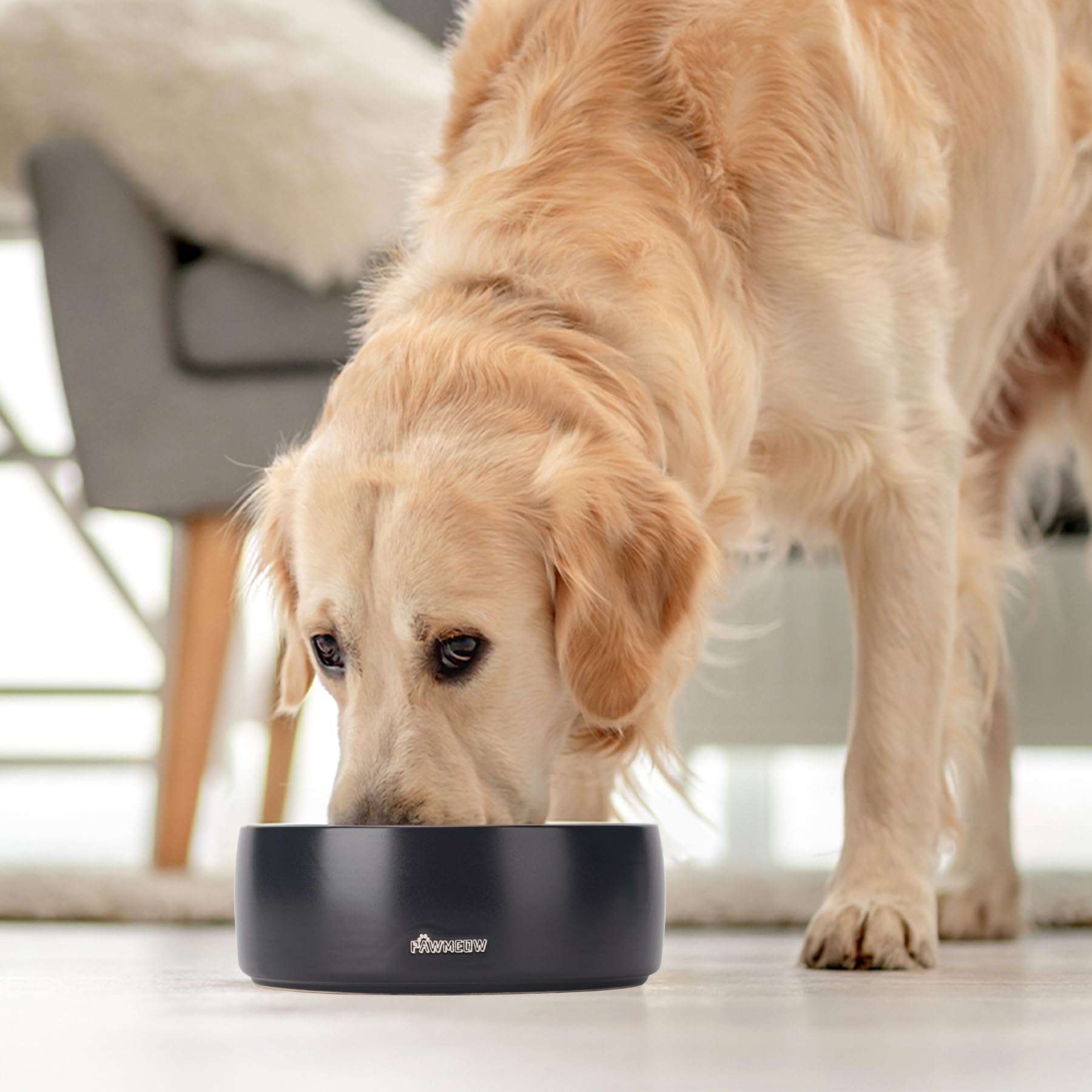PawMeow dishwasher-safe glaze simplifies after-meal cleanup.