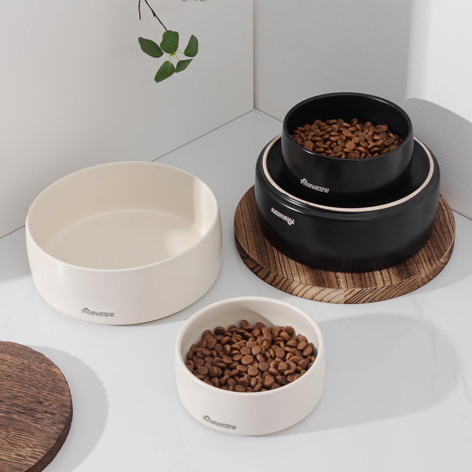 PawMeow bowls arranged for dry, wet foods and water.