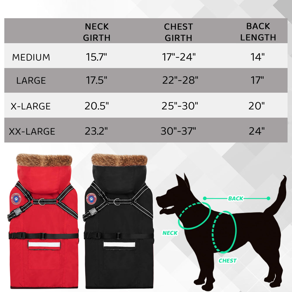 PAWNISAW dog winter coat hood detail blocks wind during chilly outings