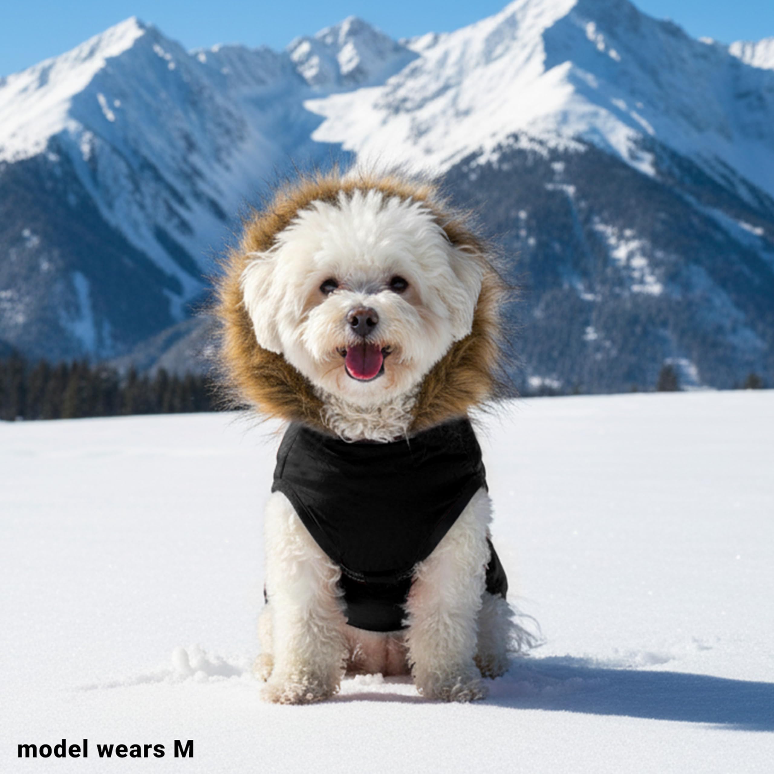PAWNISAW dog winter coat in walking scene during snowy day