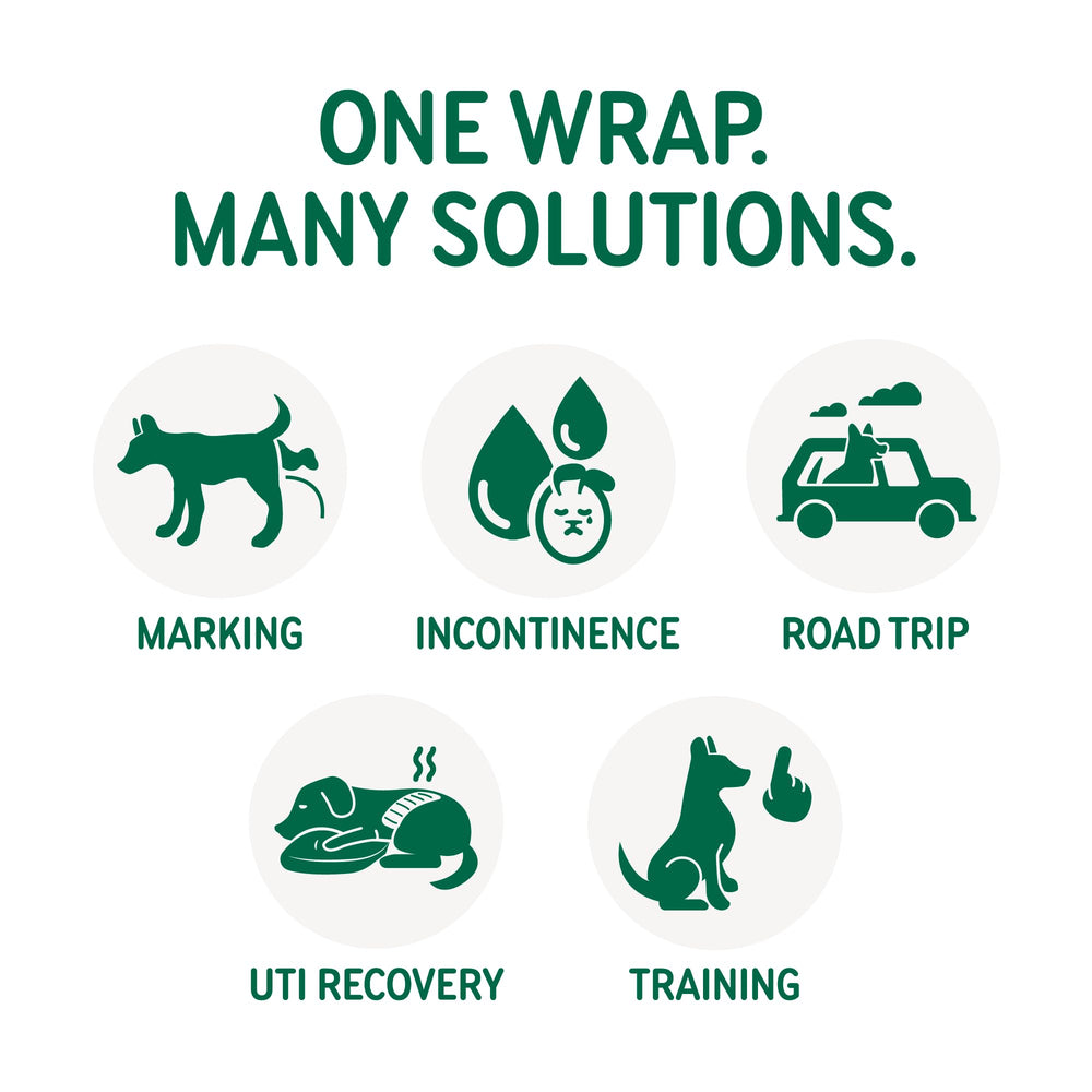 PAWPANG Copper Fit Mate Wrap S ideal for senior dogs and long-term wear.