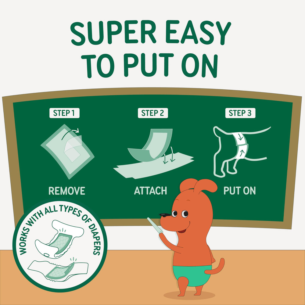 PAWPANG products designed by real pet parents for practical cleanliness