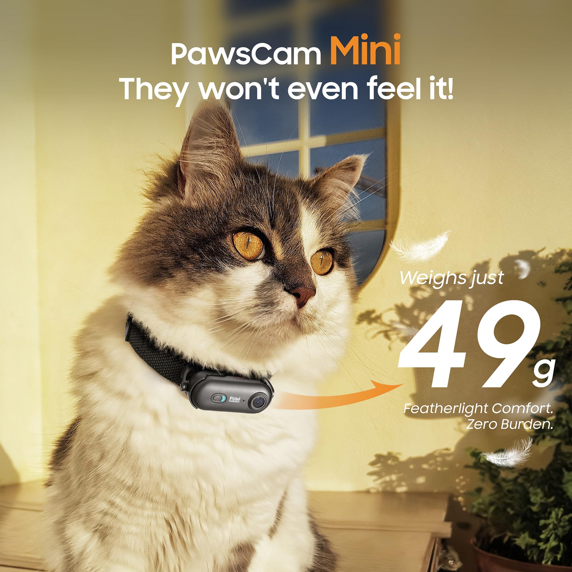 PAWPAWSEN 360° rotatable clip records from every angle.