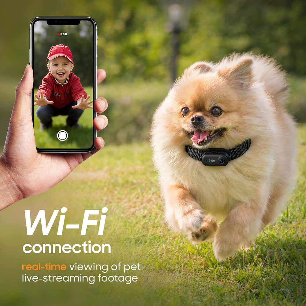 PAWPAWSEN lightweight collar-friendly design keeps pets comfortable.