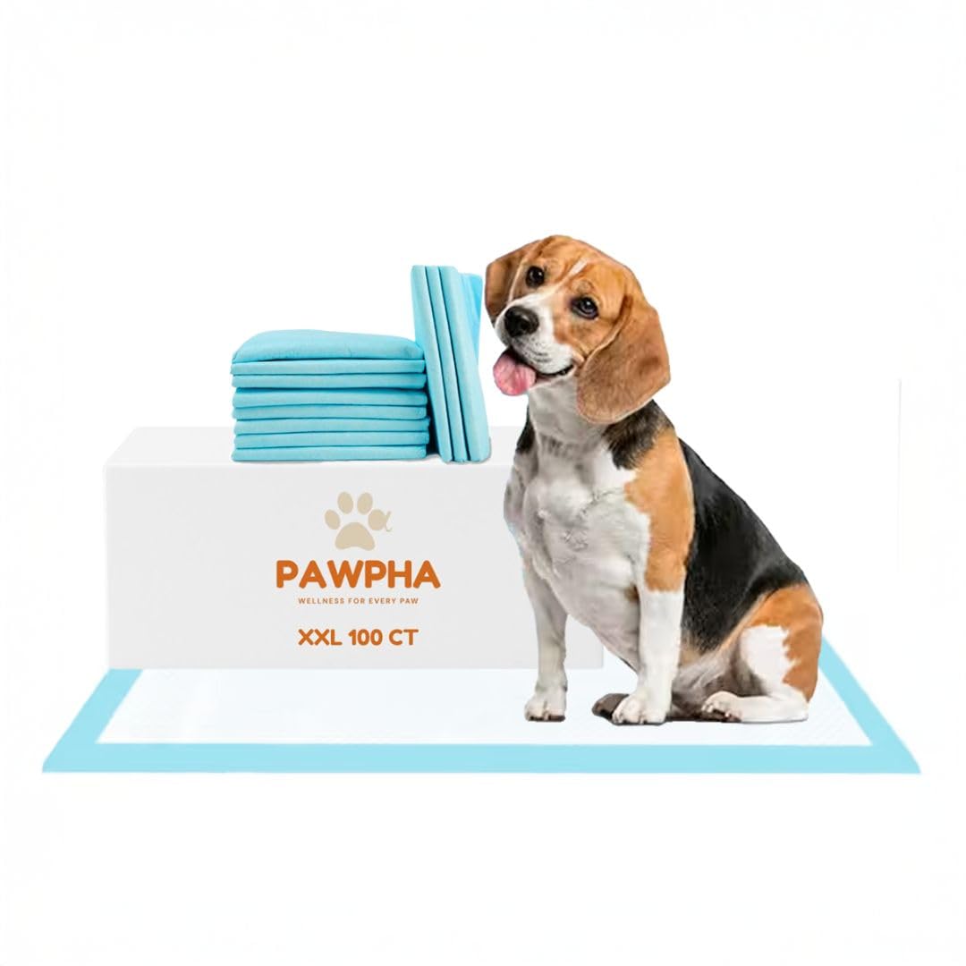 Pawpha UltraCare absorbent-core keeps training areas dry and tidy.