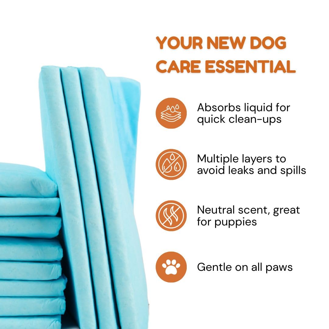 Pawpha UltraCare leak-barrier prevents overflow, protecting floors.