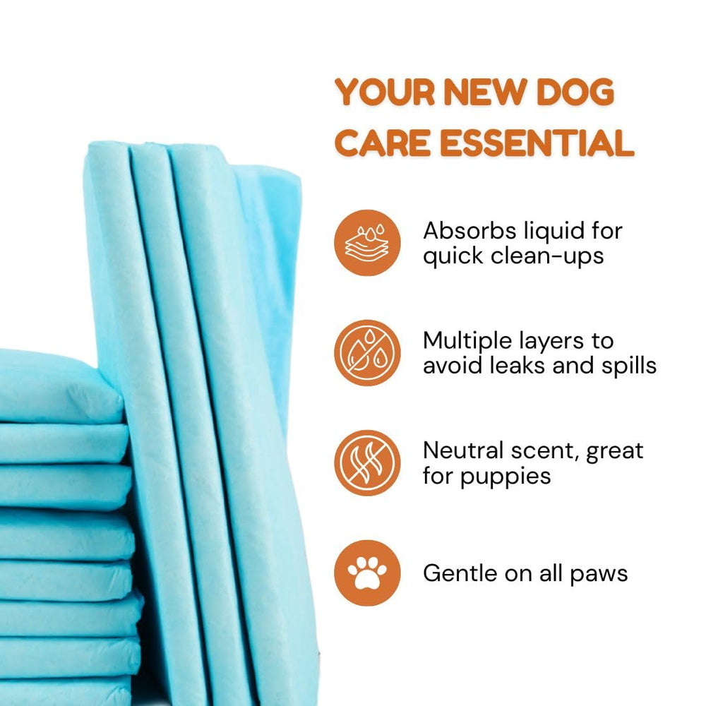 Pawpha UltraCare leak-barrier prevents overflow, protecting floors.